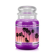 Country Candle Purple Palm velika dišeča sveča z 2 stenjema (652 g)