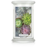 Velika dišeča sveča Kringle Candle Succulents z 2 stenjema (624 g)