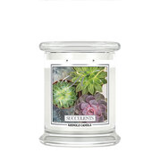 Dišeča sveča Kringle Candle Succulents srednja 2 stenja (411 g)