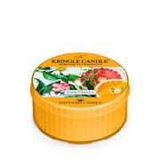 Kringle Candle Essentials dišeča sveča dišeča sveča (42 g)