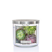 Kringle Candle TUMBLER Succulents 3-wick dišeča sveča 411 g