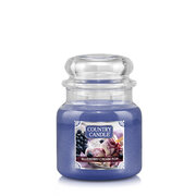 Country Candle Blueberry Cream Pop medium 2-wick dišeča sveča (453 g)
