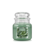 Country Candle Spiral Aloe dišeča sveča medium 2-wick (453 g)