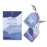 Dišava za avto Paddywax Parks GLACIER WHITE PINE & HEMLOCK