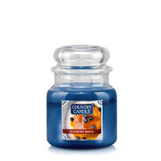 Country Candle Blueberry Maple dišeča sveča medium 2-wick (453 g)