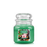 Country Candle Holiday Sweets srednja 2 stenjeva dišeča sveča (453 g)