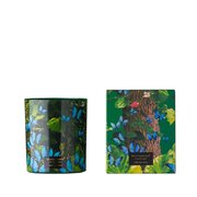 Dišeča sveča Vila Hermanos Jungletopia BUTTERFLY 200g