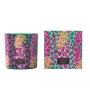 Dišeča sveča Vila Hermanos Jungletopia WILD MUSK 650g