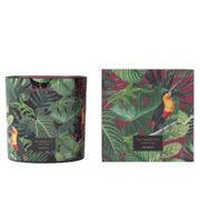 Vila Hermanos Jungletopia dišeča sveča SPICY CYPRIOL 650g