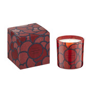 Dišeča sveča Vila Hermanos '70s Poppy & Marigold 500 g