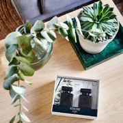 ipuro Essentials Black Bamboo 2x50ml difuzor v darilni škatli