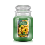Country Candle Charred Pineapple velika dišeča sveča z 2 stenjema (737 g)