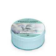 Dišeča sveča Kringle Candle Winter Cypress (42g)
