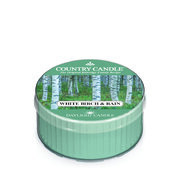 Dišeča sveča Country Candle White Birch and Rain (42g)