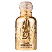 Auraa Desire Cedar Paradise Parfumska voda