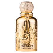 Auraa Desire Cedar Paradise Parfumska voda 100ml