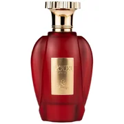 Emir Voux Spices Parfumska voda 100ml