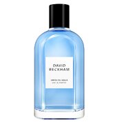 David Beckham Infinite Aqua Parfumska voda 100ml