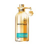 Montale Day Dreams Parfumska voda