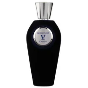 V Canto Magnificat Parfumska voda - Tester