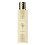 Paris Corner Magic Oud In Sandal Wood Parfumska voda