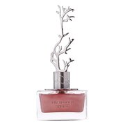 Aurora Scents Deciduous Spring Parfumska voda 100ml
