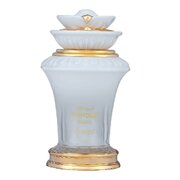 Hamidi Fondue Exotic Parfumska voda 100ml
