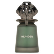 French Avenue Thunder Parfumska voda 100ml