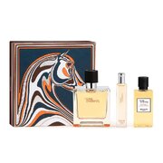 Hermes Terre D'Hermes Pure Parfum Darilni set, parfum 75 ml + parfum 15 ml + Shower Gel 40ml