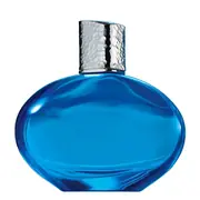 Elizabeth Arden Mediterranean Parfumska voda 100ml