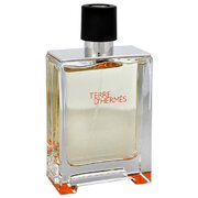 Hermes Terre D'Hermes Toaletna voda - Tester