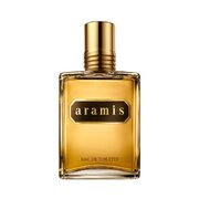 Aramis Aramis Toaletna voda 110ml