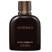 Dolce & Gabbana Intenso Pour Homme Parfumska voda 200ml
