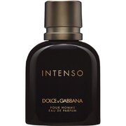 Dolce & Gabbana Intenso Pour Homme Parfumirana voda - Tester