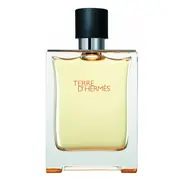 Hermes Terre D'Hermes Toaletna voda - Tester 100ml
