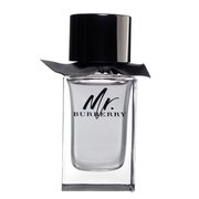 Burberry Mr. Burberry Toaletna voda