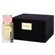 Dolce & Gabbana Velvet Love Parfumska voda