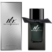 Burberry Mr. Burberry Eau de Parfum Parfumska voda 100ml