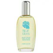 Elizabeth Arden Blue Grass Parfumska voda 100ml