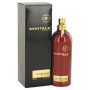 Montale Silver Aoud Parfumska voda