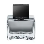 Antonio Banderas Seduction in Black For Men Toaletna voda 50ml