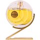 Maison Asrar Trophy Parfumska voda