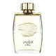 Lalique Pour Homme Lion Parfumska voda