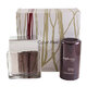 Calvin Klein Euphoria for Men Darilni set 2020