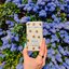 <p>Miniatura</p>: Wild honey & cactus flower bee case deostick, 40 g - 486620586_1149102190348562_6774521135099687929_n