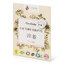 <p>Miniatura</p>: Pracie pásiky issencia na 2 prania camibaby - Issencia - Camibaby - 02