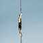 <p>Miniatura</p>: 