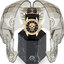 <p>Miniatura</p>: 