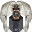 <p>Miniatura</p>: 