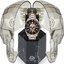 <p>Miniatura</p>: 